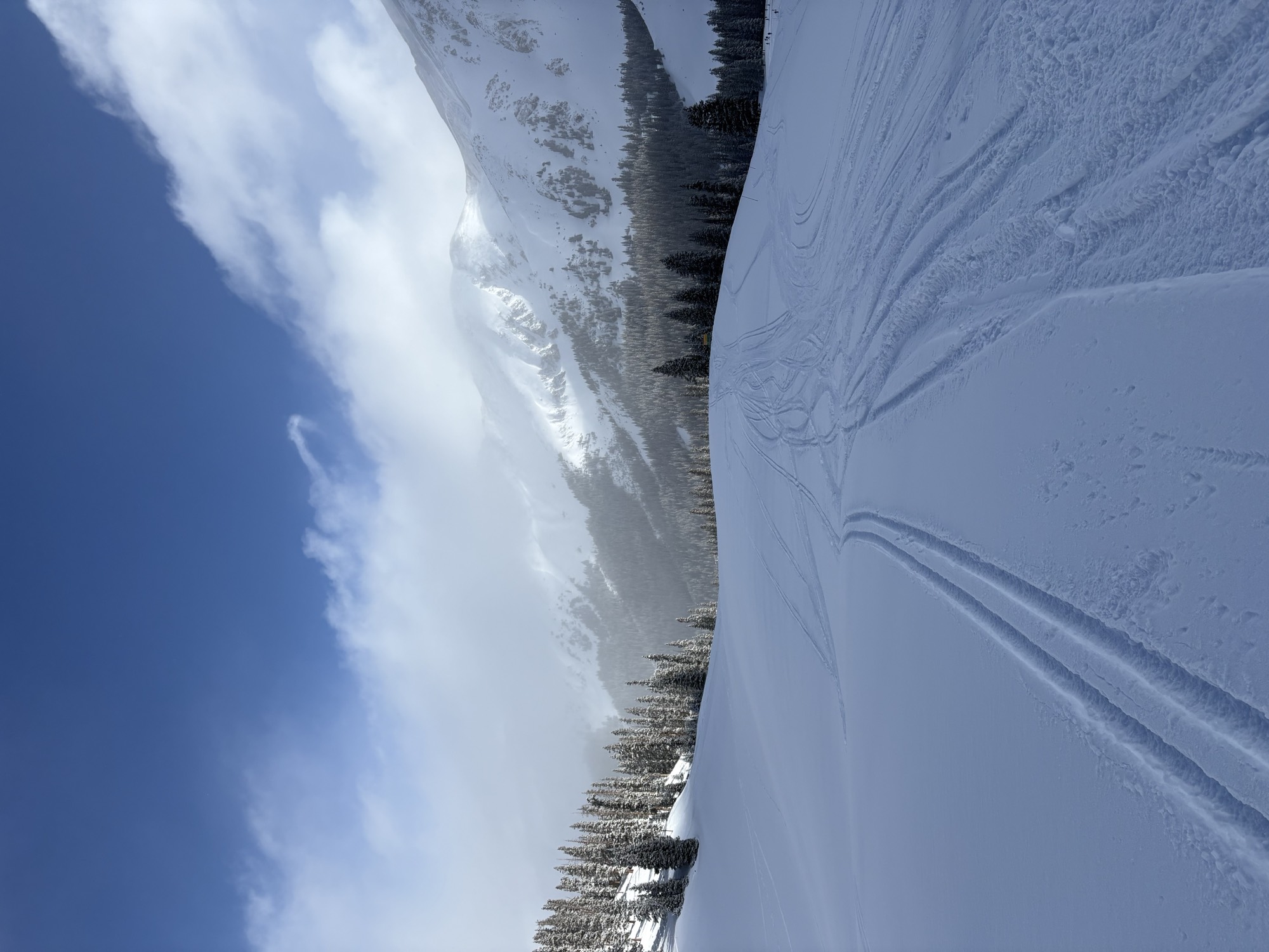 Fresh powder slope with clean ski tracks
