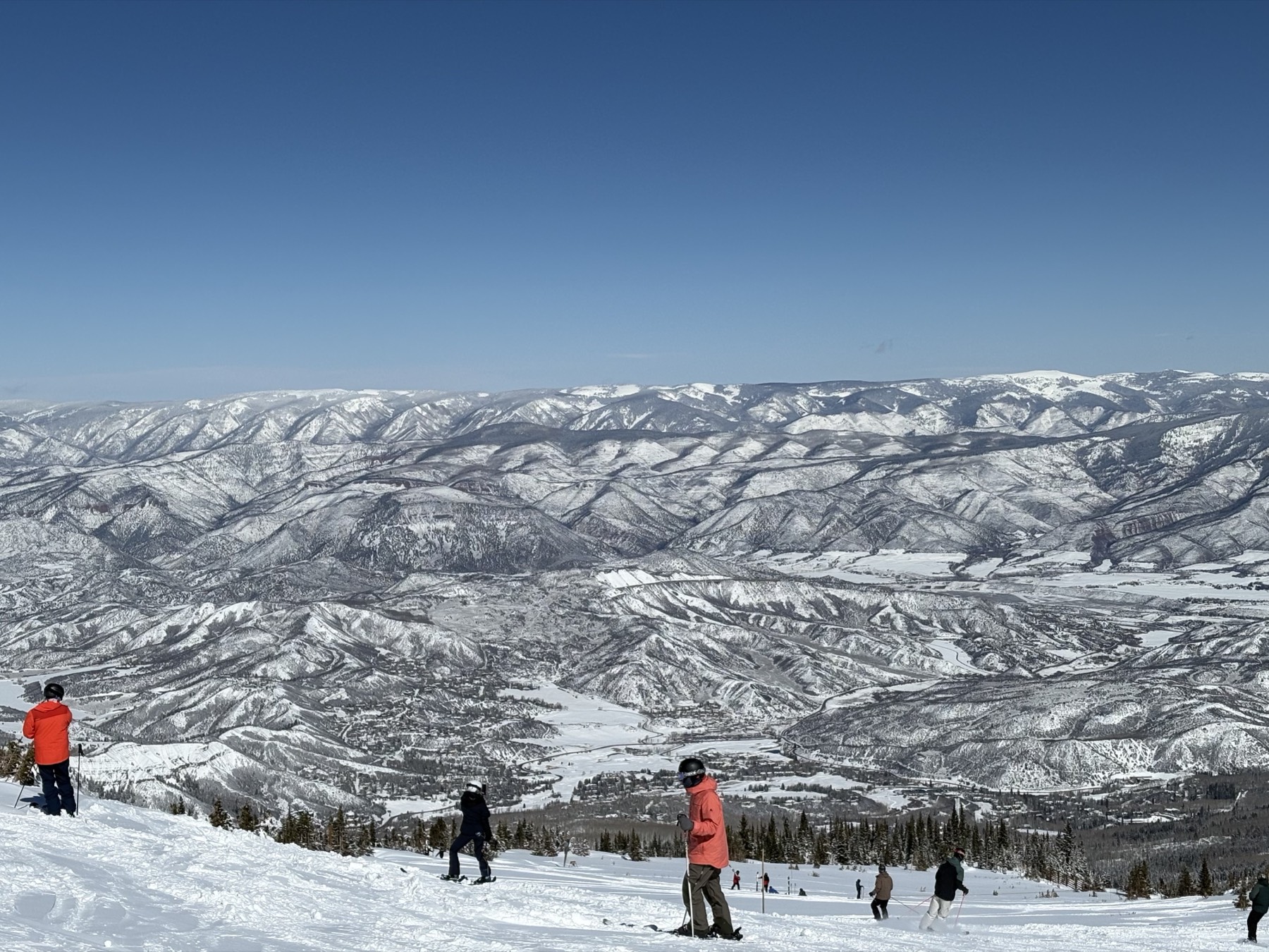 Jasper at the top of Snowmass, Colorado, overlooking the valley